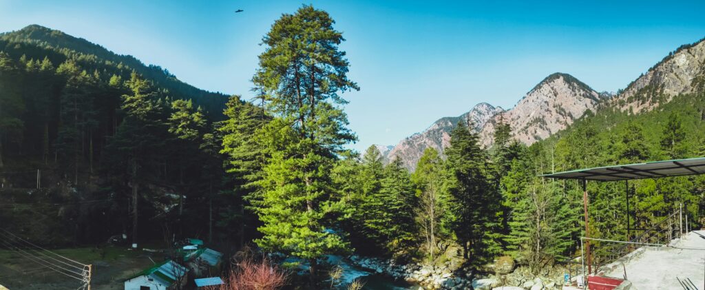 Kasol village along the Parvati River surrounded by pine forests and Himalayan mountains