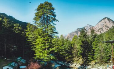 Kasol village along the Parvati River surrounded by pine forests and Himalayan mountains